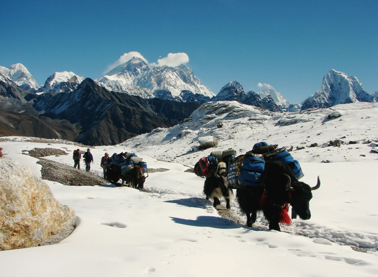  Mera Peak Climbing with Everest Base Camp Trek in Nepal 