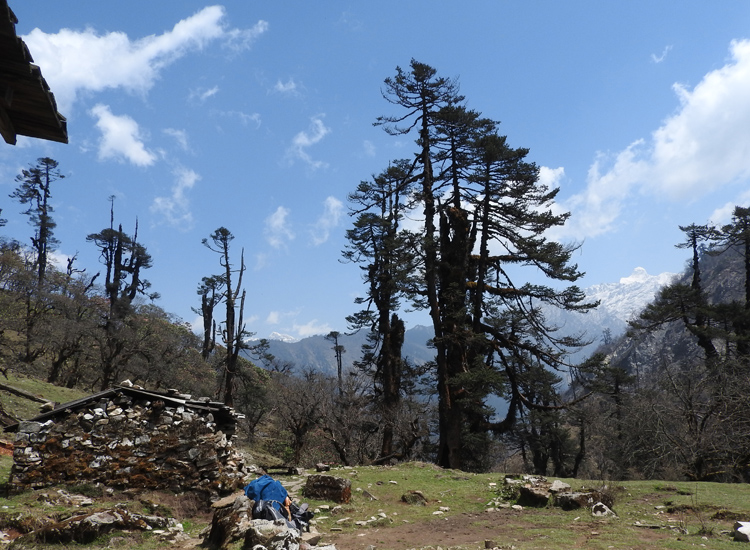 Kanchenjunga Base Camp Trek ( North to South) - 27days